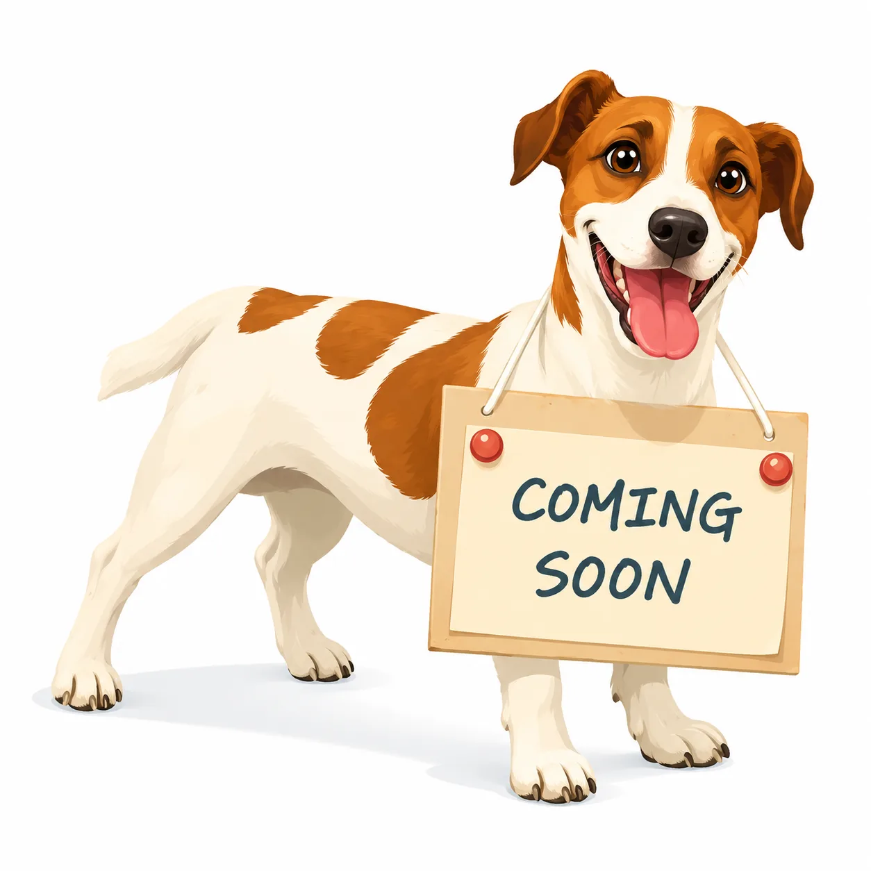Binnenkort nieuwe Sponge Dog locaties